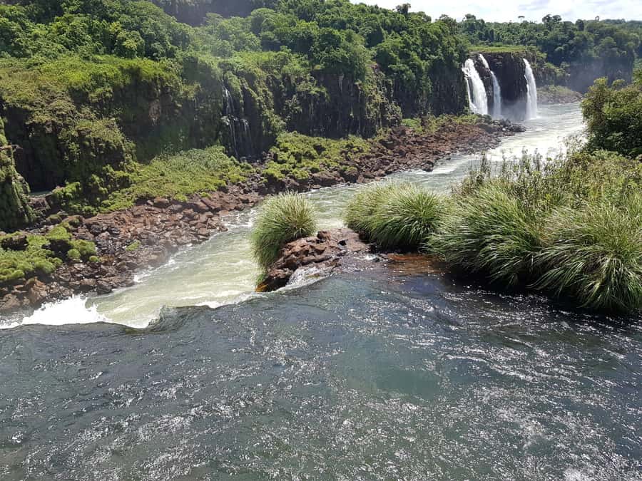 From Foz do Iguaçu: Brazilian Falls and Bird Park Tour - The guide can shape the whole day