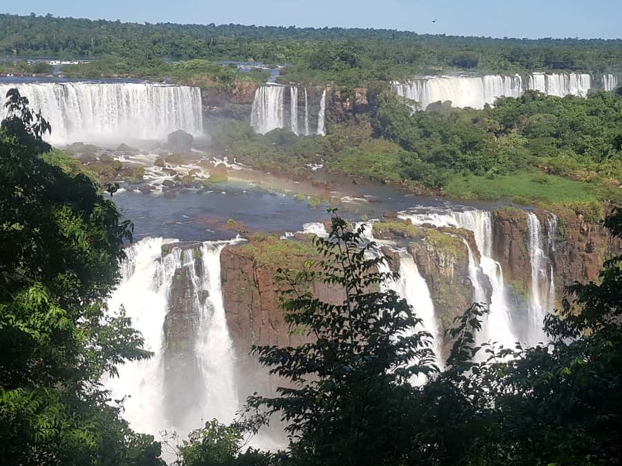 From Foz do Iguaçu: Brazilian Falls and Bird Park Tour - What the $38 price does and does not cover