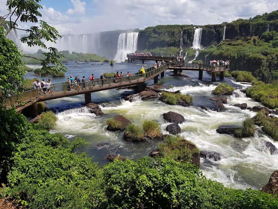 From Foz do Iguaçu: Brazilian Falls and Bird Park Tour - Rain, stairs, and practical comfort