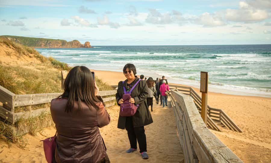 From Melbourne: Penguin Parade Afternoon Tour - What $95 gets you
