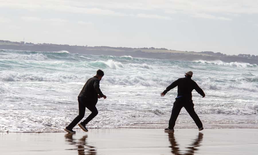 From Melbourne: Penguin Parade Afternoon Tour - Audio information and guide quality