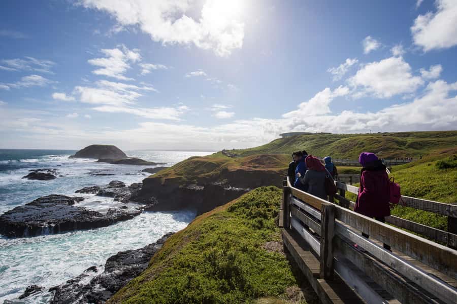 From Melbourne: Penguin Parade, Koalas & Kangaroos - Weather, Clothing and Simple Preparation