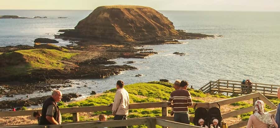 From Melbourne: Penguin Parade, Koalas & Kangaroos - Who Will Enjoy This Phillip Island Tour Most?