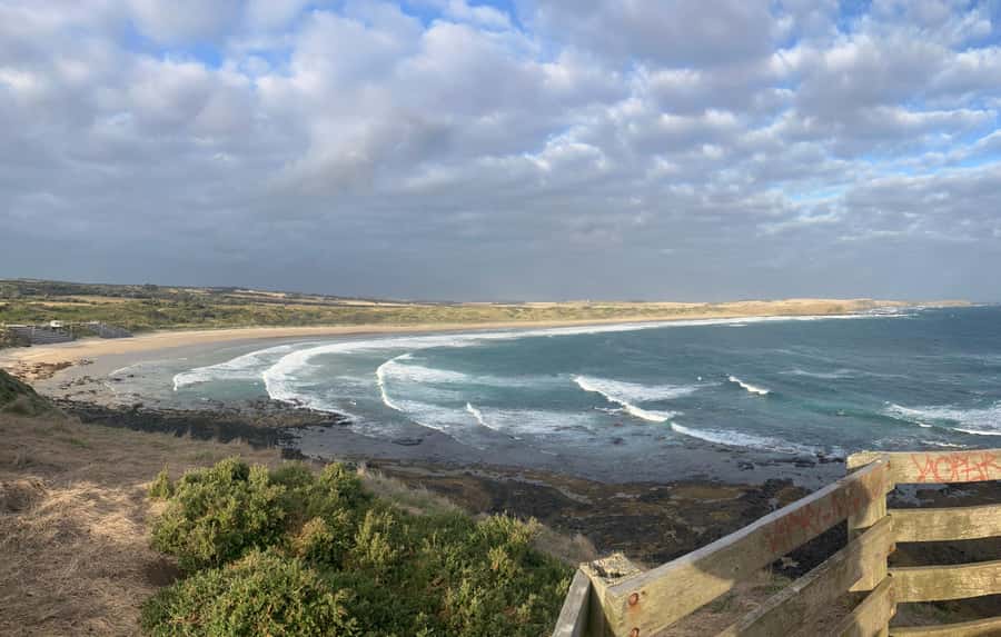 From Melbourne: Phillip Is Penguin Parade & Koala Reserve - Wallabies are the bonus between stops