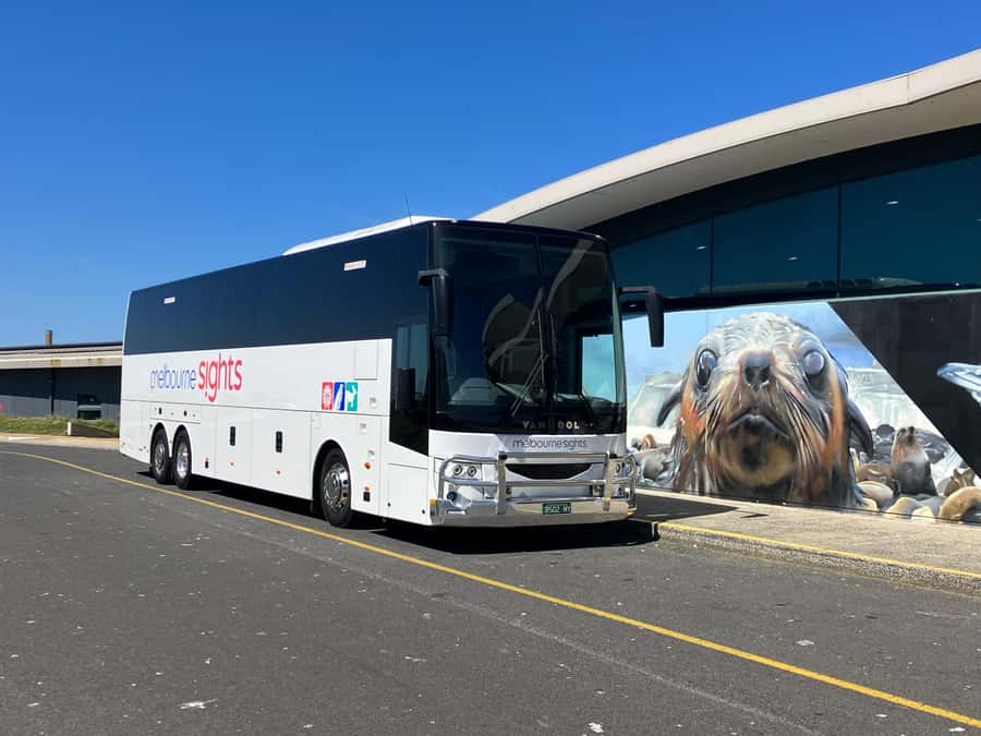 From Melbourne: Phillip Is Penguin Parade & Koala Reserve - Transport, meeting point, and the real length of the day