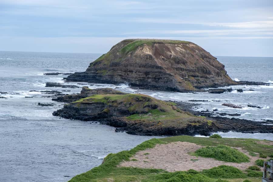 From Melbourne: Phillip Island and Penguin Parade Day Tour - Cape Woolamai brings a short beach break