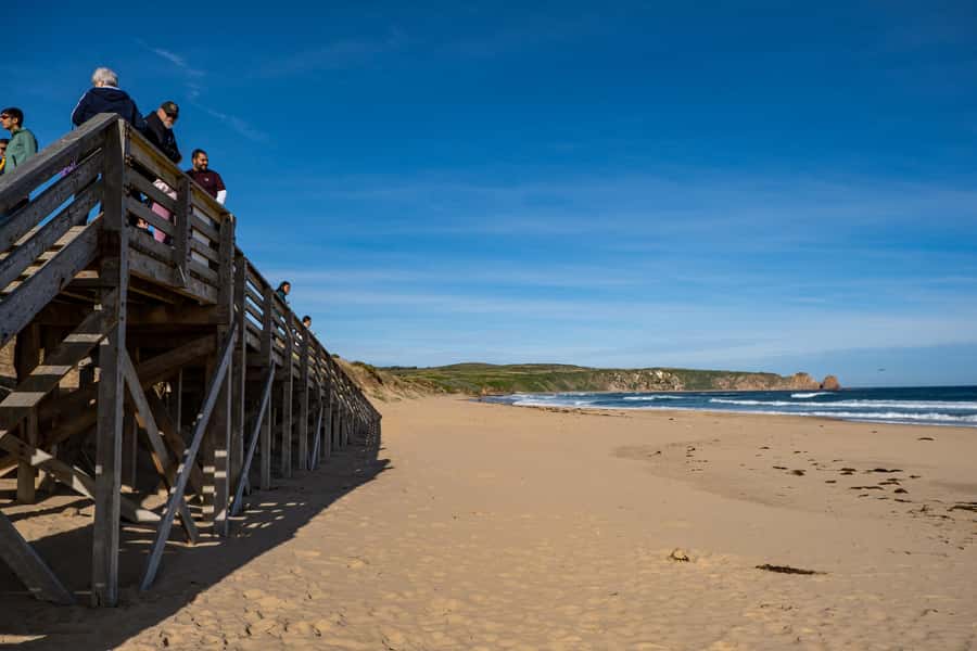From Melbourne: Phillip Island and Penguin Parade Day Tour - Who will get the most from this tour?