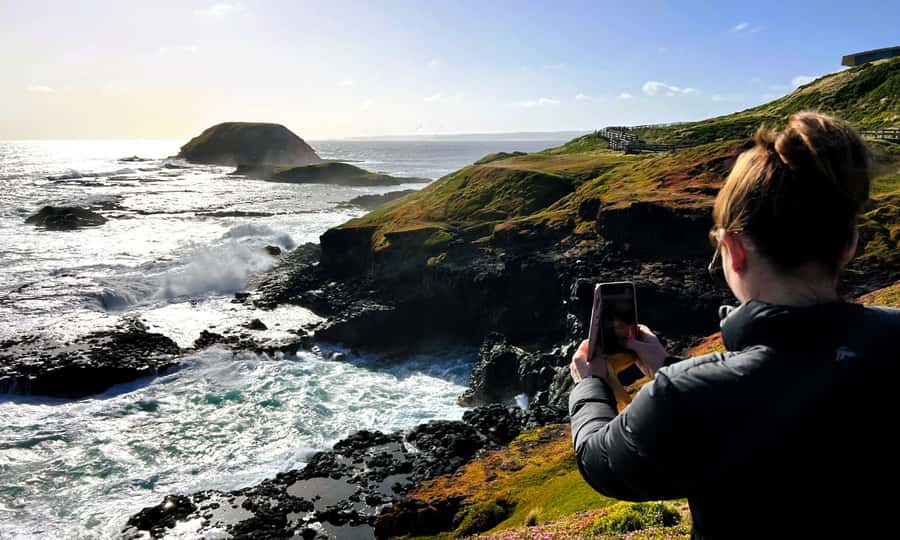 From Melbourne: Phillip Island Penguin Parade Eco Tour - My call: book it for variety, skip it for slow travel