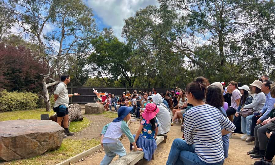 From Melbourne: Phillip Island Penguin Parade Eco Tour - Is the $109 price good value?
