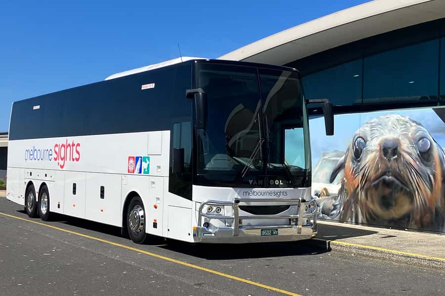 From Melbourne: Phillip Island Penguin Parade Express Tour - Weather can change the whole experience