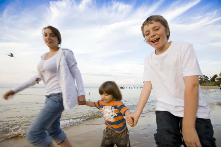 From Melbourne: Phillip Island Penguin Parade & Koalas Tour - Should you book it?