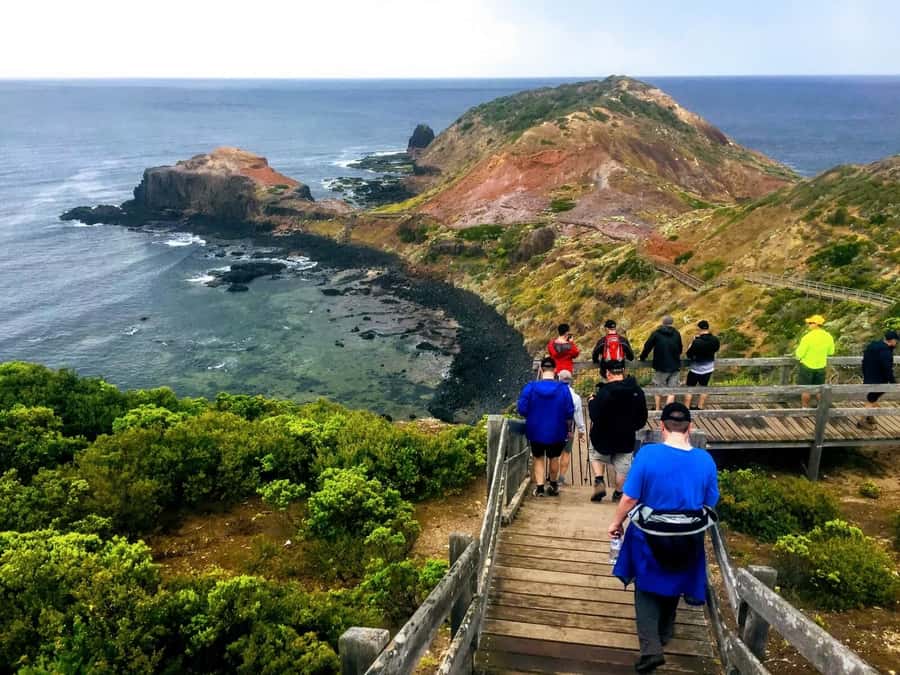 From Melbourne: Phillip Island Penguin Parade Private Tour - Key points to know before you book
