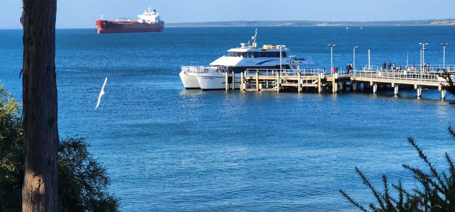 From Melbourne: Phillip Island Penguin Parade Private Tour - Coastal stops give the day some breathing room
