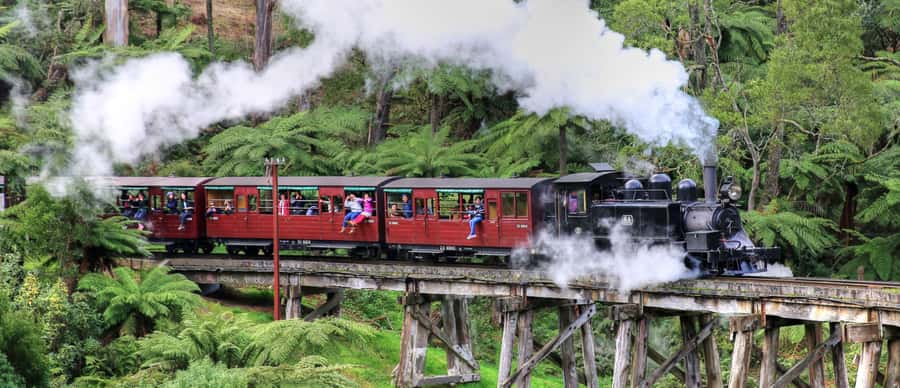 From Melbourne: Puffing Billy and Penguin Parade Combo Tour - Puffing Billy through the Dandenong Ranges