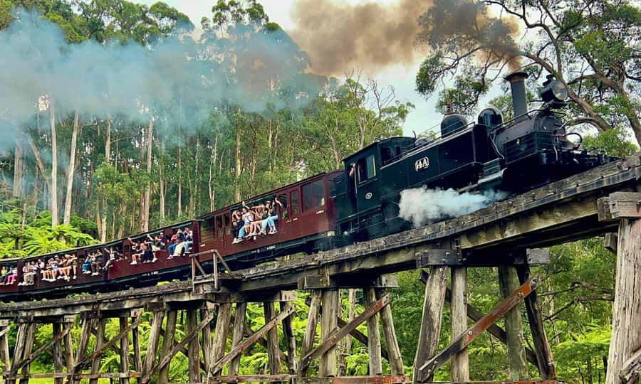 From Melbourne: Puffing Billy & Penguins Combo Tour Package - Key points to know before booking