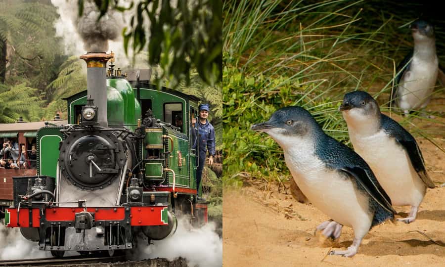 From Melbourne: Puffing Billy & Penguins Combo Tour Package - Puffing Billy from Belgrave to Lakeside