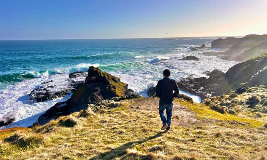 From Melbourne: Puffing Billy & Penguins Combo Tour Package - The late return to Melbourne