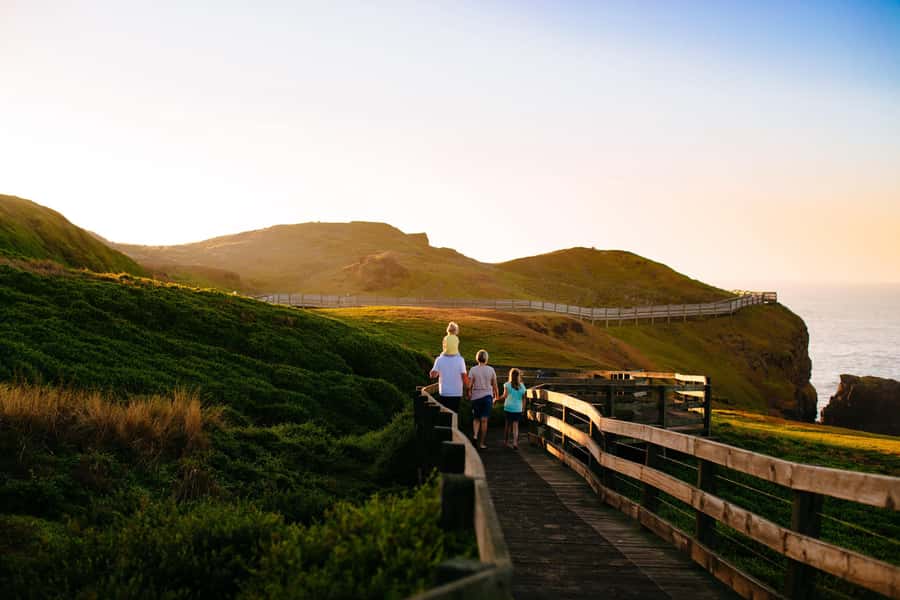 From Melbourne: Puffing Billy Train & Penguin Wildlife Tour - The long crossing to Phillip Island