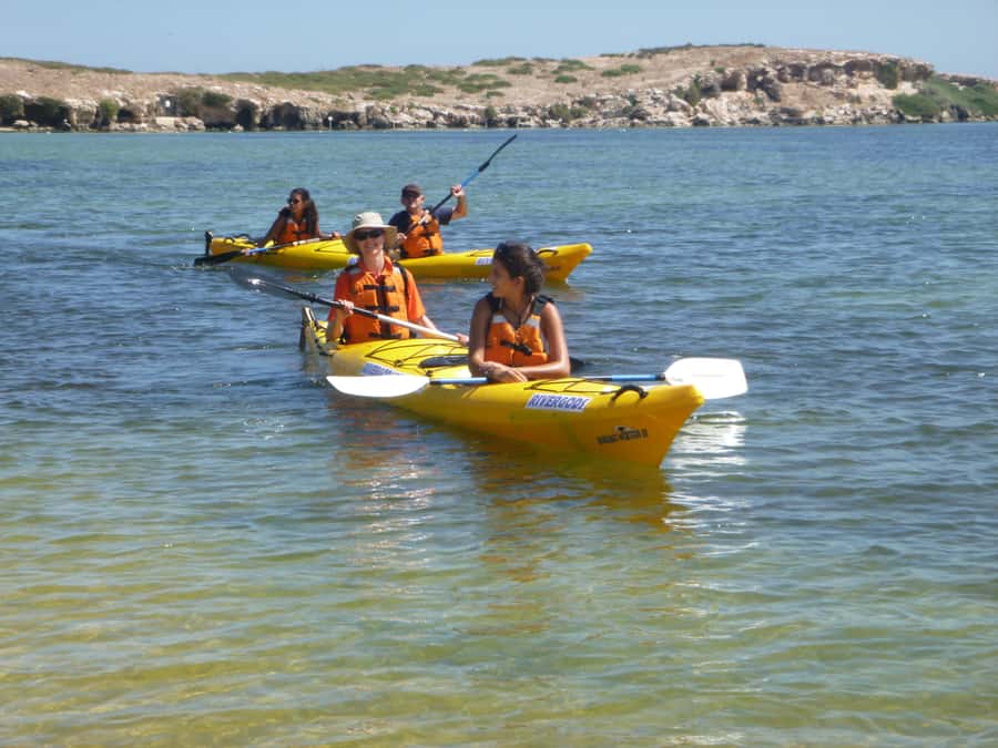 From Perth: Rockingham Seal & Penguin Islands Sea Kayak Tour - The 2.5-kilometer return paddle
