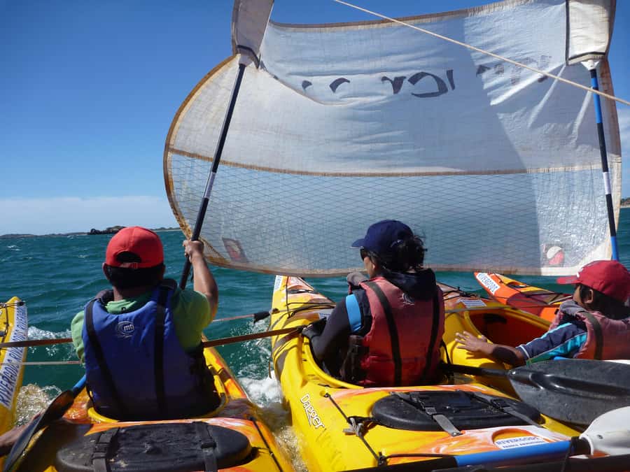 From Perth: Rockingham Seal & Penguin Islands Sea Kayak Tour - What to bring for a comfortable day