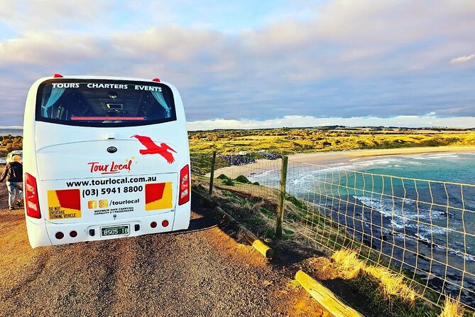 From Phillip Island: Wine and Wildlife Tour with Penguin Parade - A six-hour afternoon built around penguins