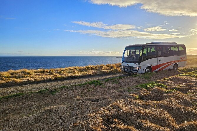 From Phillip Island: Wine and Wildlife Tour with Penguin Parade - A quick stop at Flynns Beach