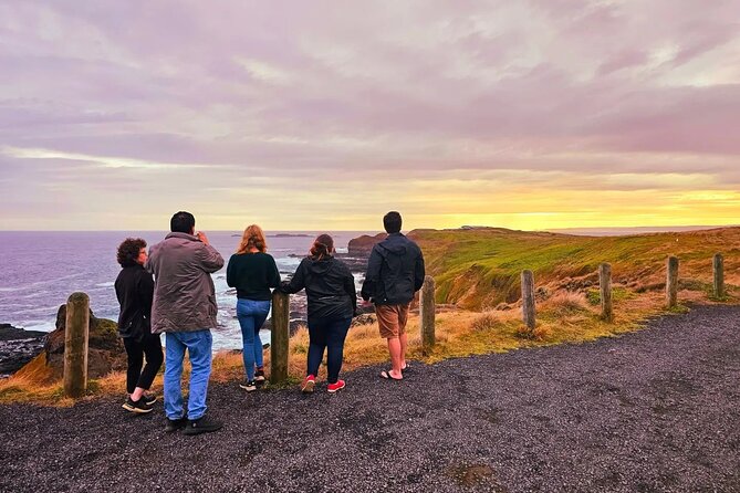 From Phillip Island: Wine and Wildlife Tour with Penguin Parade - What the guide adds to the day