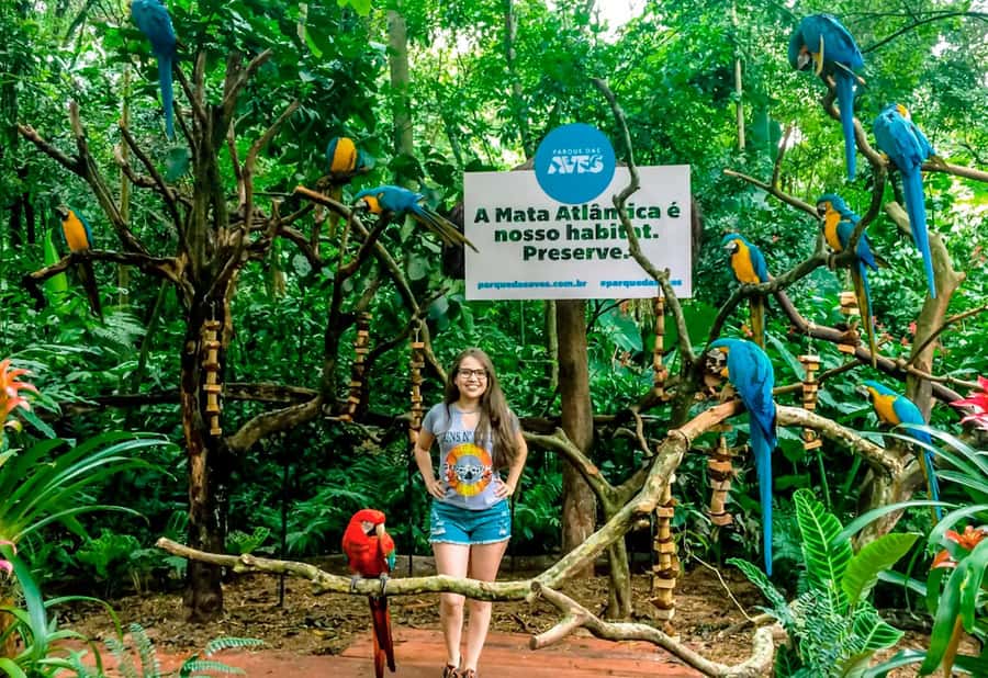 From Puerto Iguazú: Brazilian Bird Park Tour with Tickets - Alligators, reptiles, butterflies, and a beehive