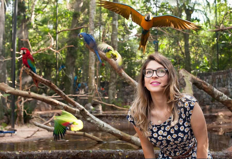 From Puerto Iguazú: Brazilian Bird Park Tour with Tickets - The macaw photo and Lake of the Flamingos