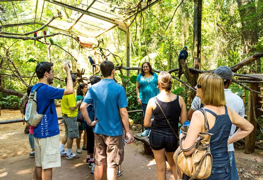 From Puerto Iguazú: Brazilian Bird Park Tour with Tickets - Who will enjoy this visit most?