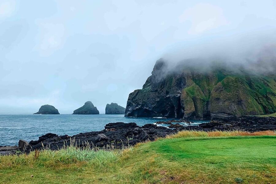 From Reykjavik: Puffin and Volcano Tour in Westman Islands - Transport, group size, and the long return to Reykjavik