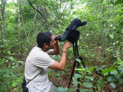 From Riviera Maya : Sian Ka’an Muyil Birdwatching with Guide