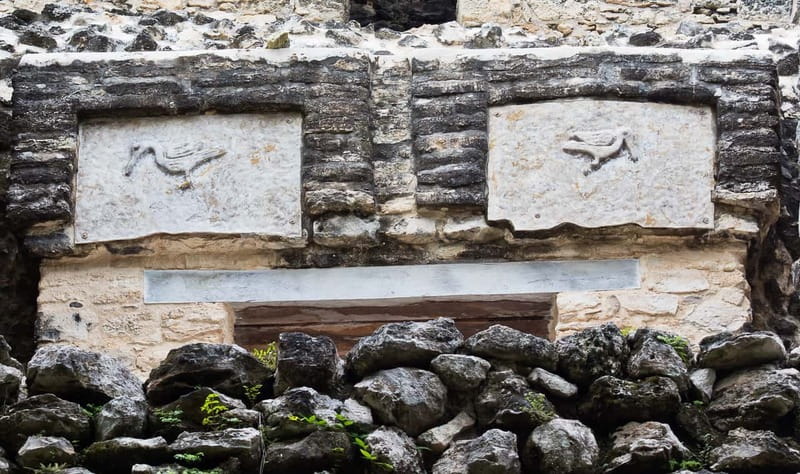 From Riviera Maya : Sian Ka'an Muyil Birdwatching with Guide - What the $119 price includes