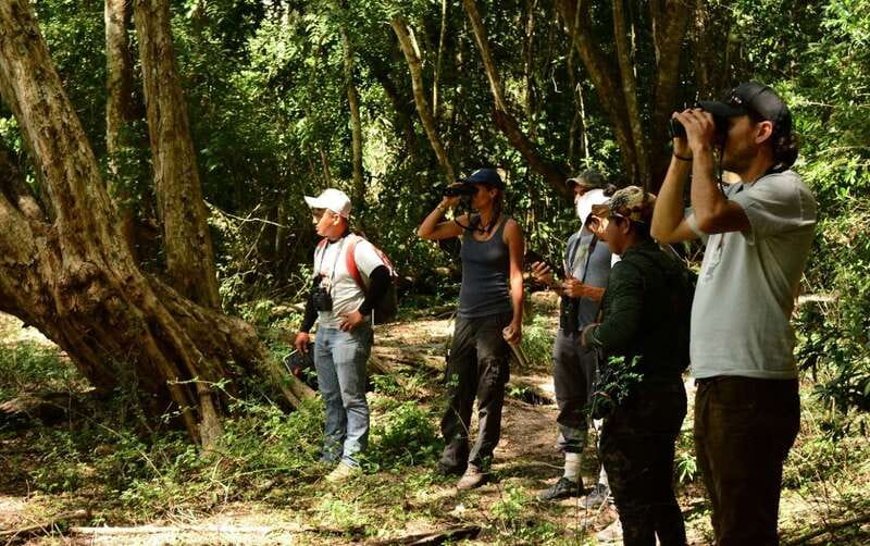 From Riviera Maya : Sian Ka'an Muyil Birdwatching with Guide - What to bring for comfort and better sightings