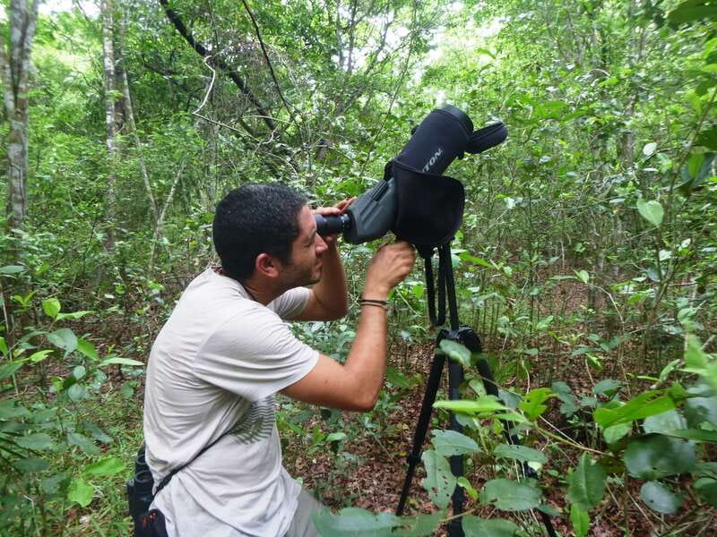From Riviera Maya : Sian Ka'an Muyil Birdwatching with Guide - A five-hour morning, broken down
