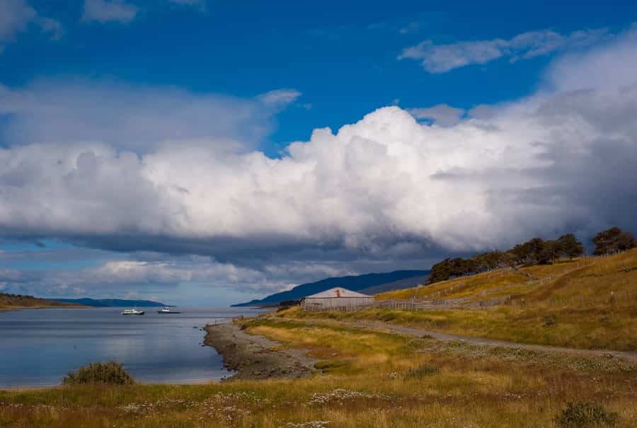 From Ushuaia: Penguin Watching Tour by Catamaran - What the catamaran format means for you
