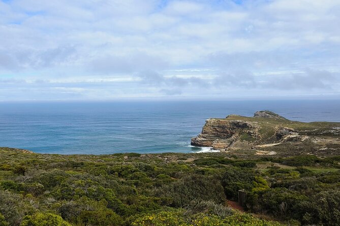 Full Day Cape of Good Hope and Boulders Beach Penguins Tour - Ostriches at Cape Point Ostrich Farm