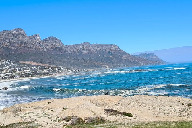 Full Day Cape of Good Hope and Boulders Beach Penguins Tour - Boulders Beach brings you close to African penguins