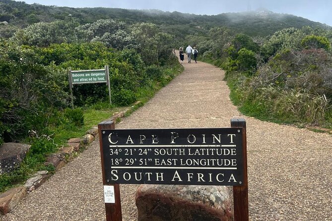 Full-Day Cape of Good Hope and Table Mountain with Penguins Tour - Why this full-day route works