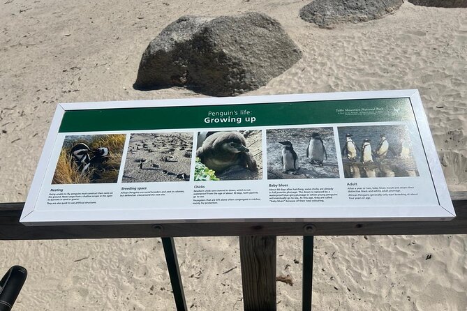 Full-Day Cape of Good Hope and Table Mountain with Penguins Tour - Cape Point’s old lighthouse at 283 metres