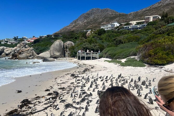Full-Day Cape of Good Hope and Table Mountain with Penguins Tour - What the $100 price covers