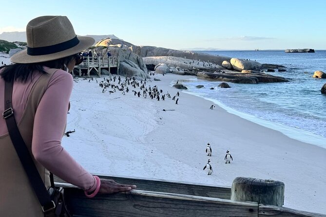 Full Day Cape Peninsula, Bo Kaap & Penguins Small Group Tour - Hout Bay and the boat to Duiker Island