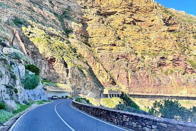 Full Day Cape Peninsula, Bo Kaap & Penguins Small Group Tour - Cape Point and the Cape of Good Hope need your time