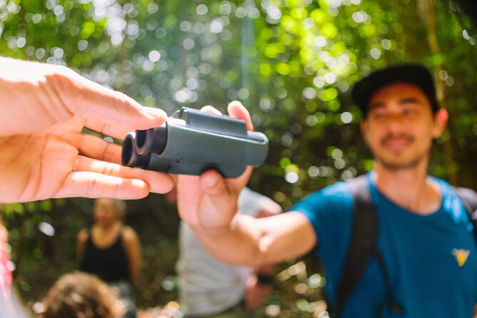 Full-Day Hakalau Forest Reserve Bird Watching Adventure - Why Hakalau Forest matters for birding