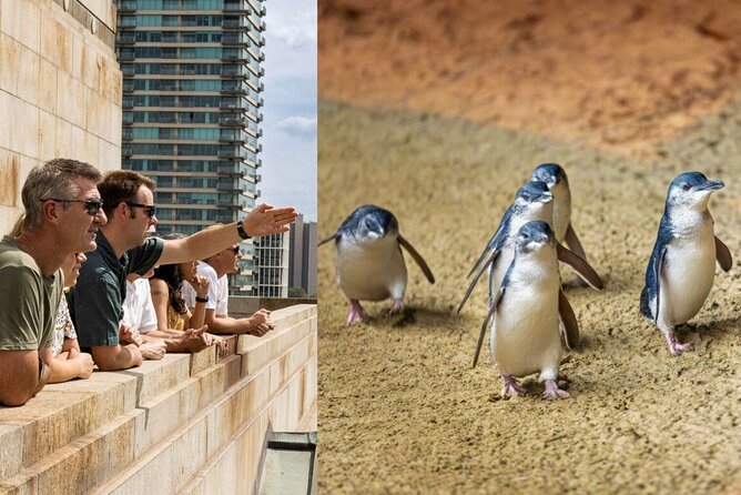 Full-day Melbourne City Sightseeing with Penguin Parade - Key points to know before booking