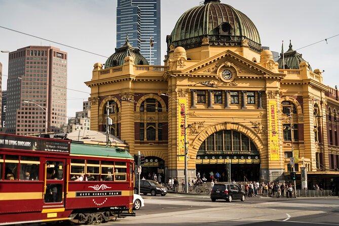 Full-day Melbourne City Sightseeing with Penguin Parade - The Nobbies and its ocean views