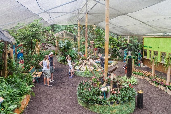 Full-Day Mindo Cloud Forest Tour Birdwatching Waterfalls and Hike - Mindo’s butterfly farm adds a slower, quieter stop