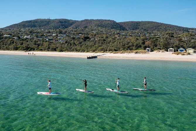 Full-Day Penguins and Wildlife Nature Experience from Melbourne - Guides shape the feel of the long drive