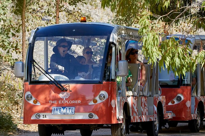 Full-Day Penguins and Wildlife Nature Experience from Melbourne - What to bring for a day that ends after sunset