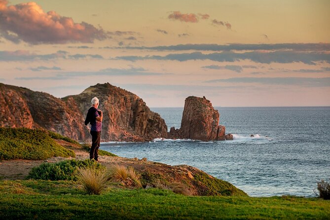 Full-Day Phillip Island Tour with Kangaroo, Koala and Penguin Parade - The guides can shape the whole day